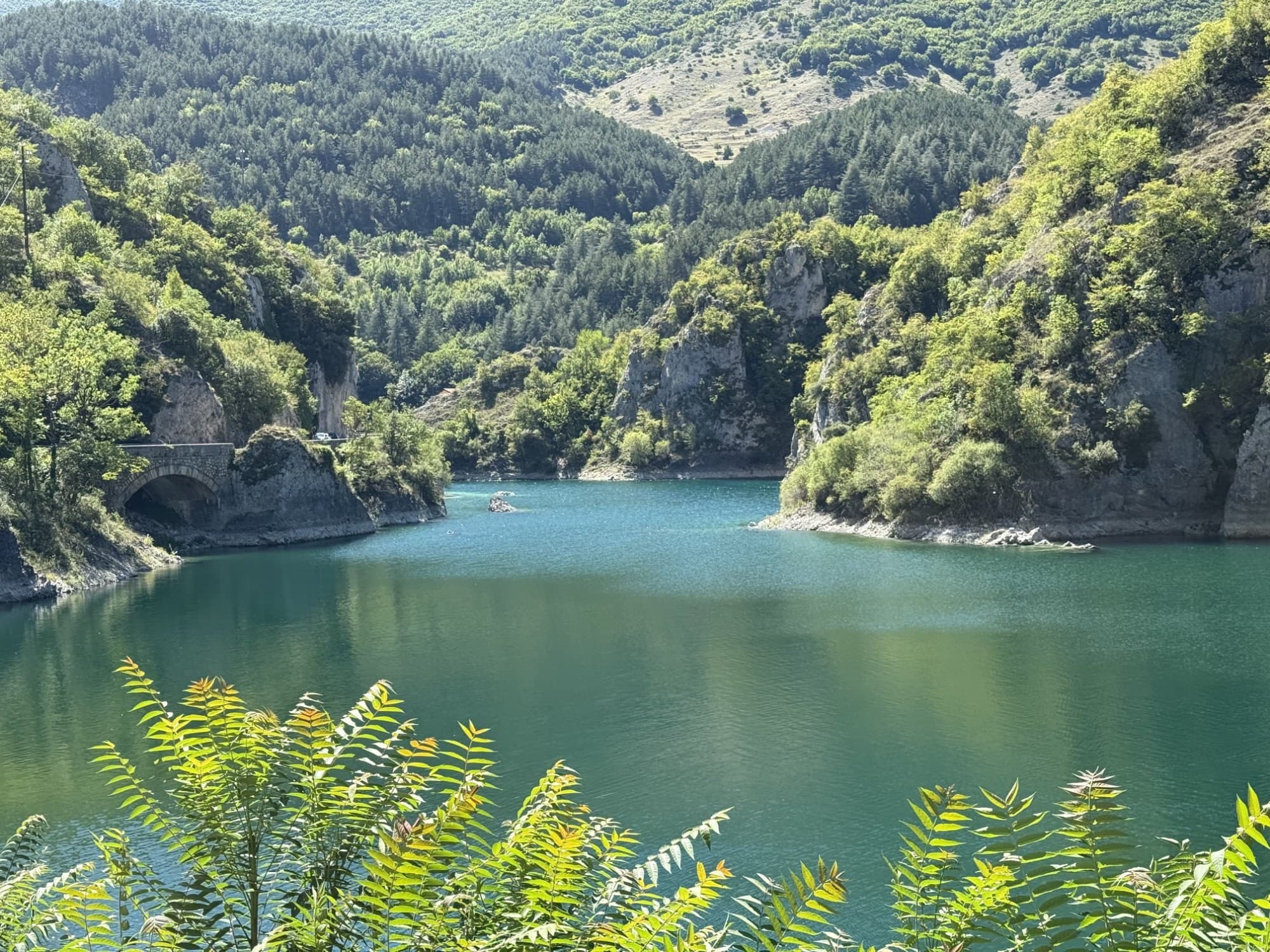 Flor in running gear — ready to move